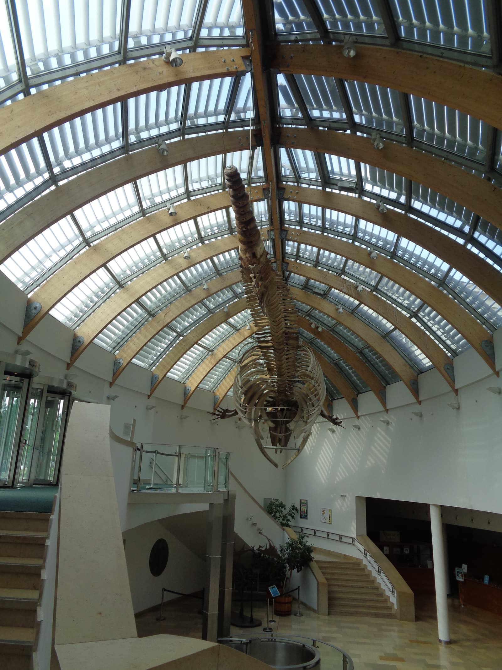 Budapest History Museum