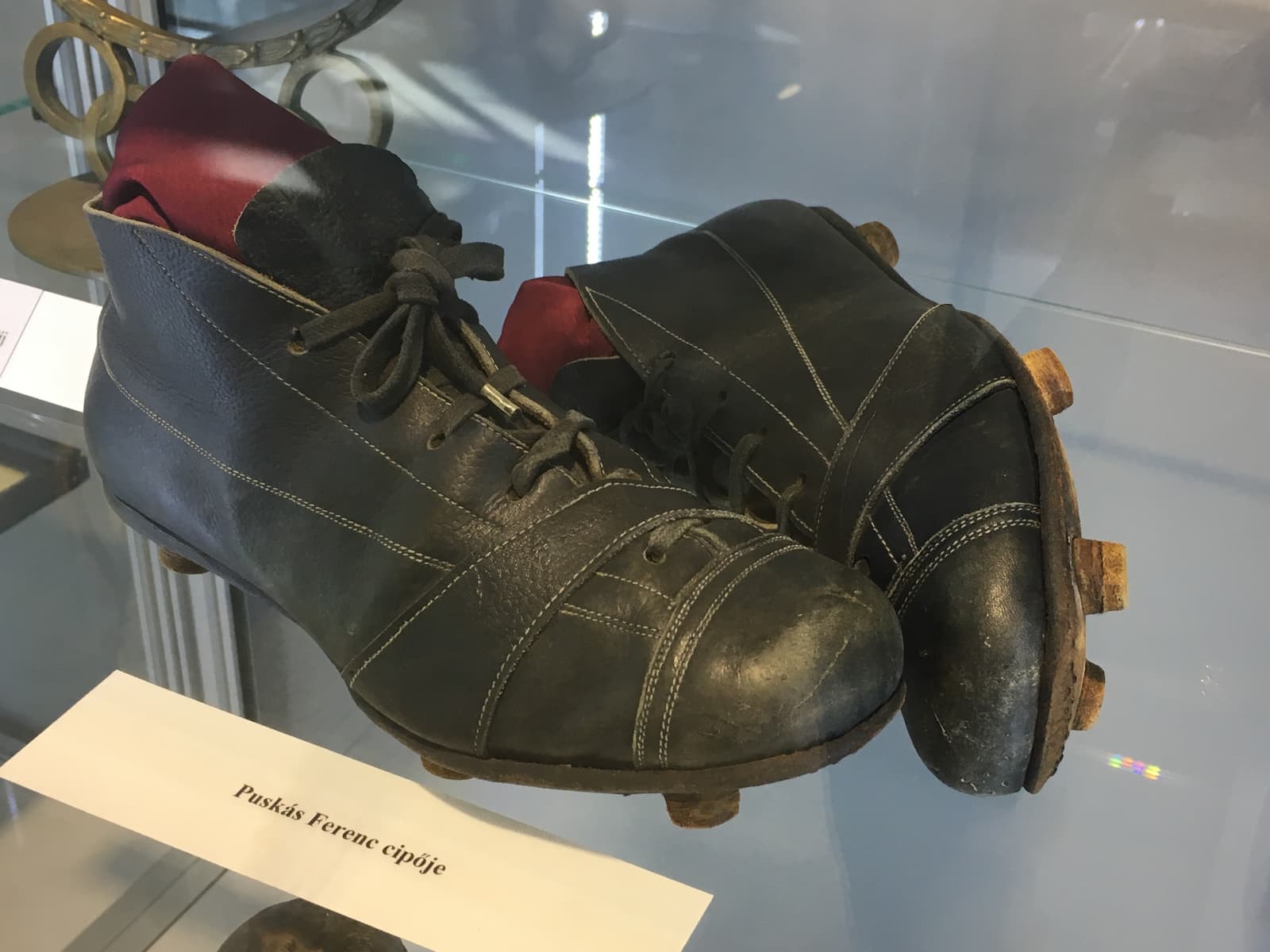 Testnevelési és Sportmúzeum