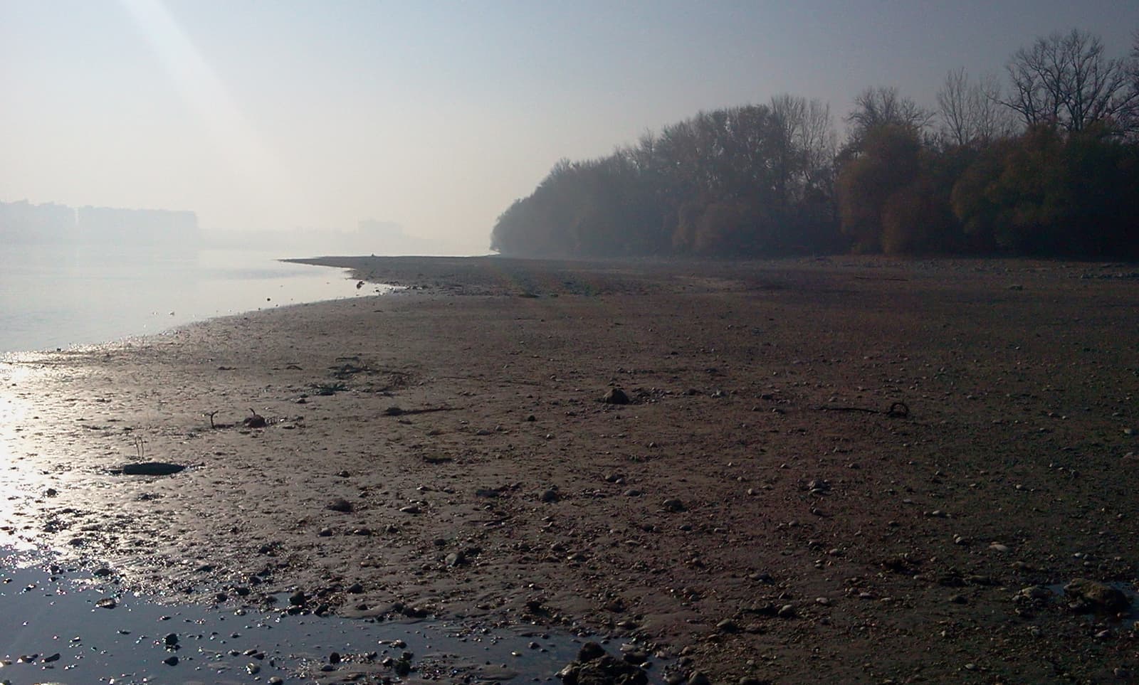 Népsziget (Mosquito Island)