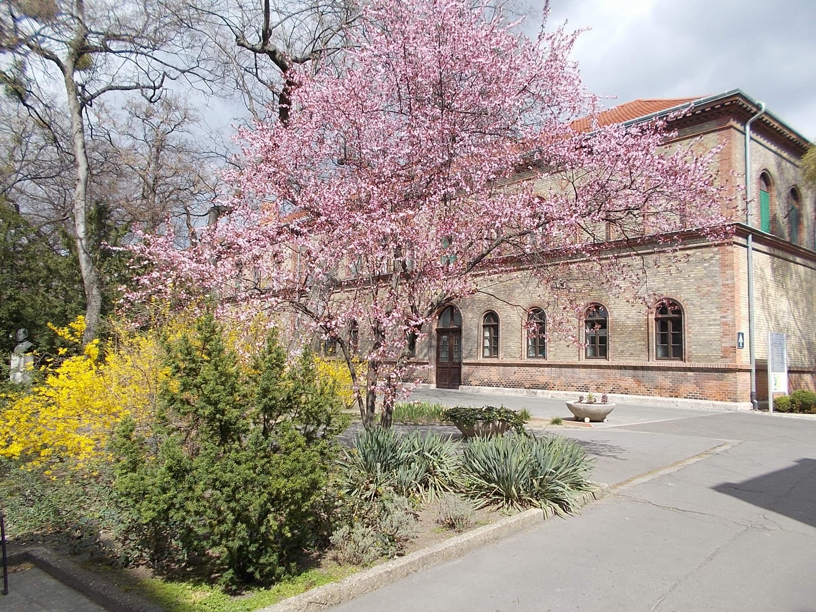 Hutÿra Ferenc Library, Archives and Museum