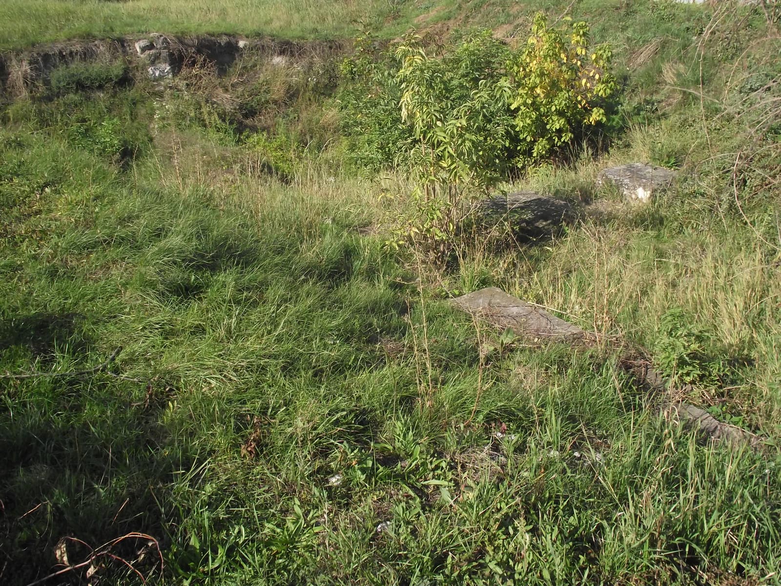 Castra Campona