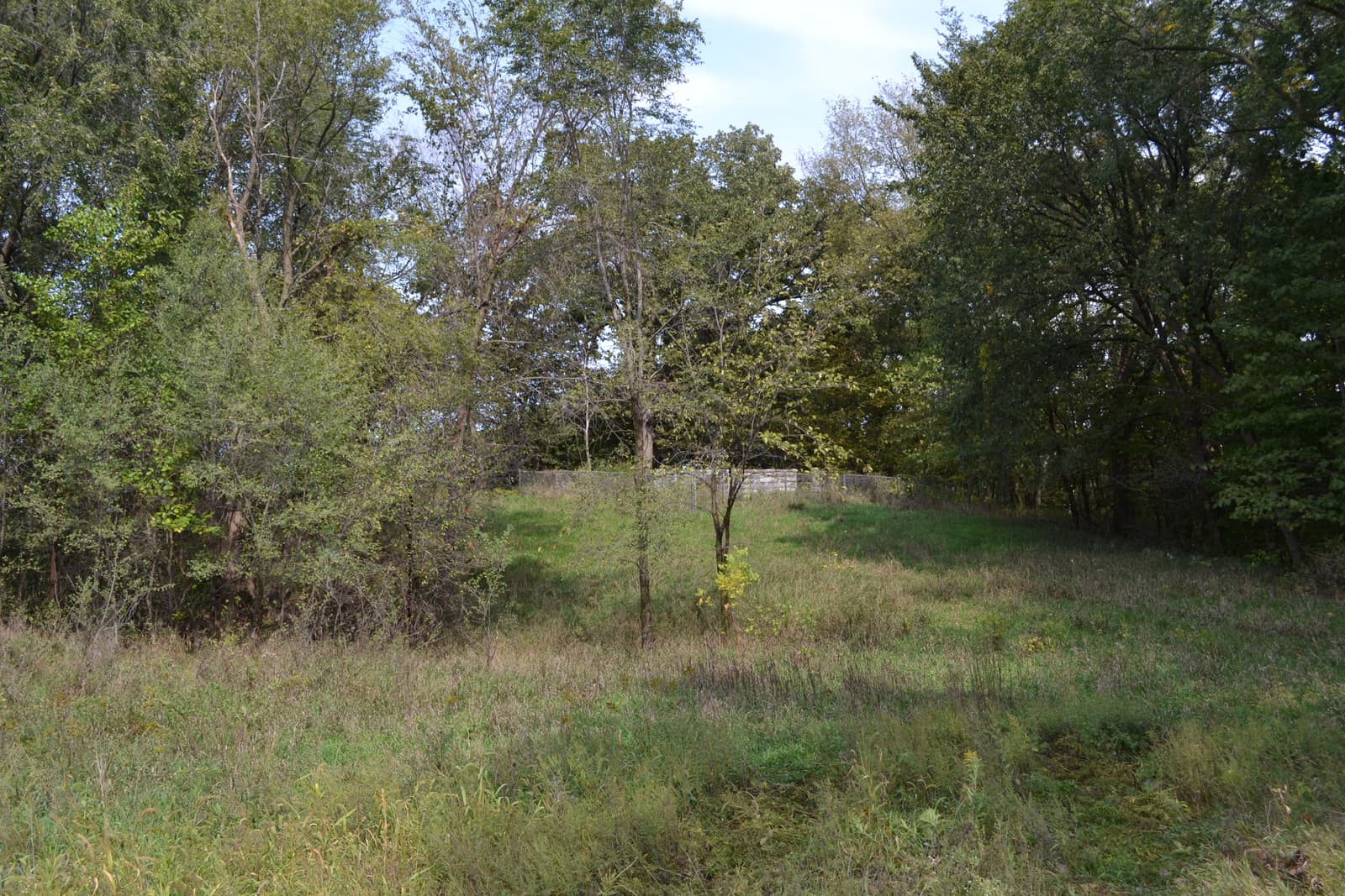 Új köztemető (Plot 301)