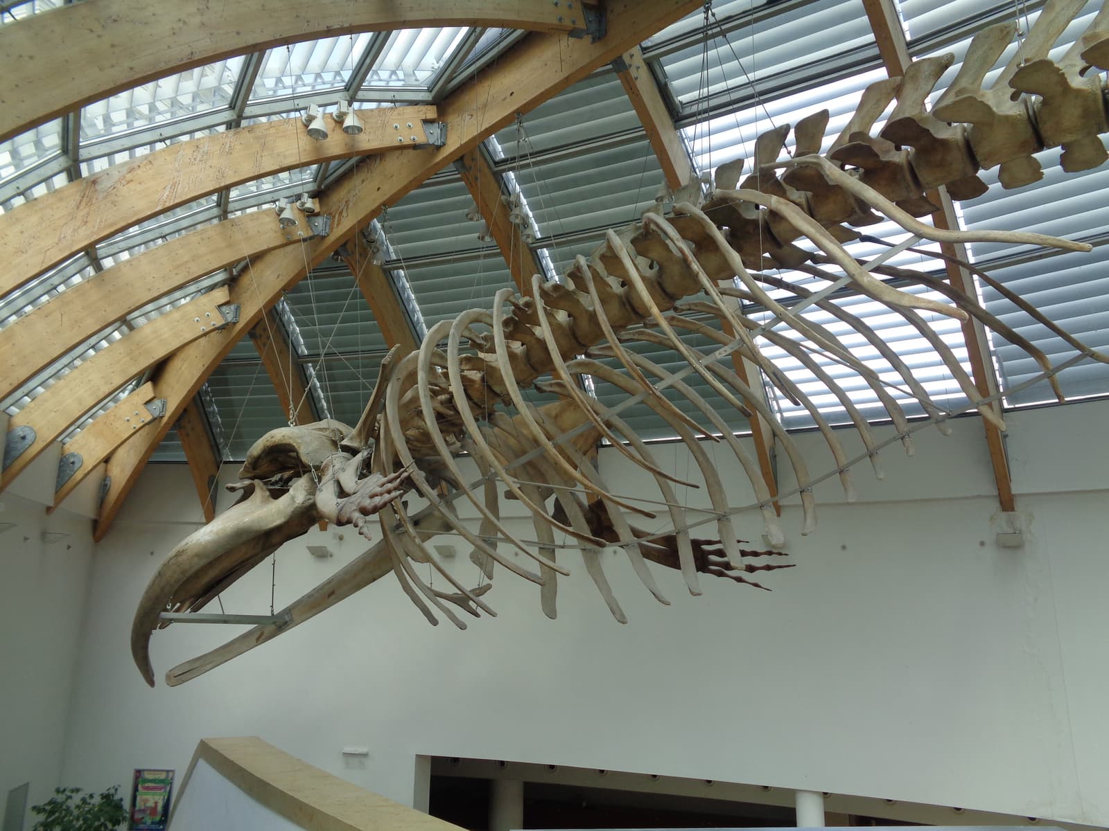 Hungarian Natural History Museum