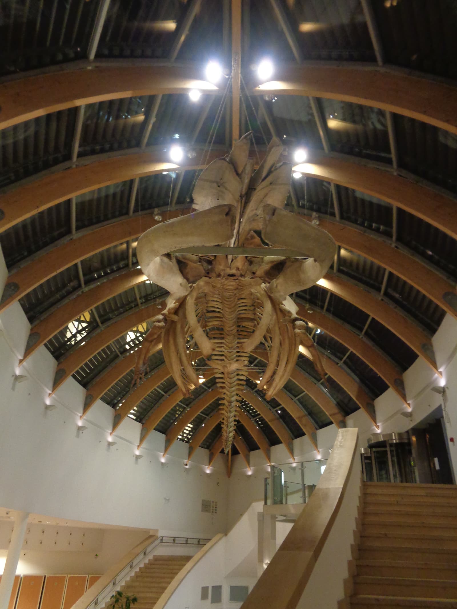 Hungarian Natural History Museum