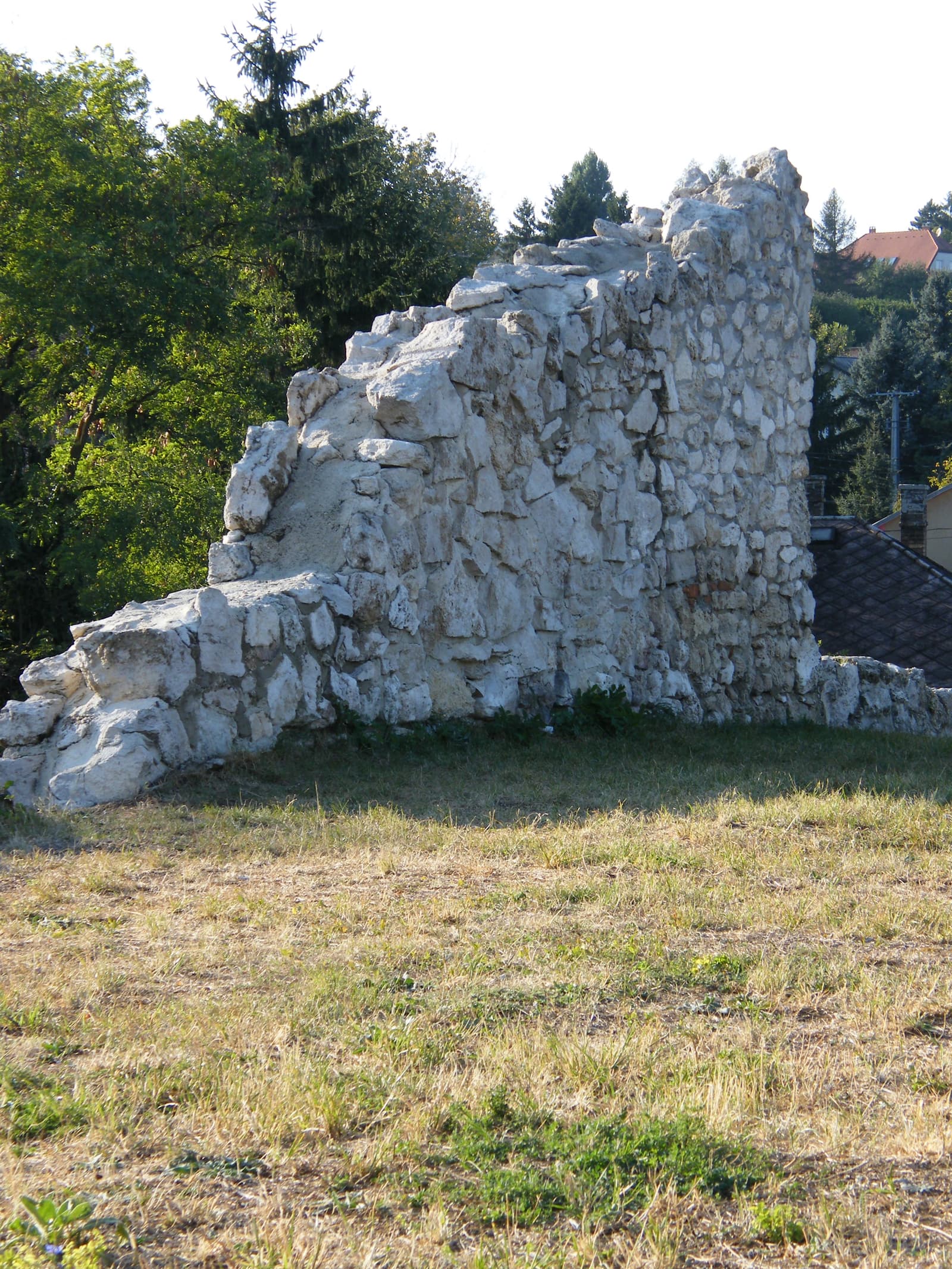 Kutyavár